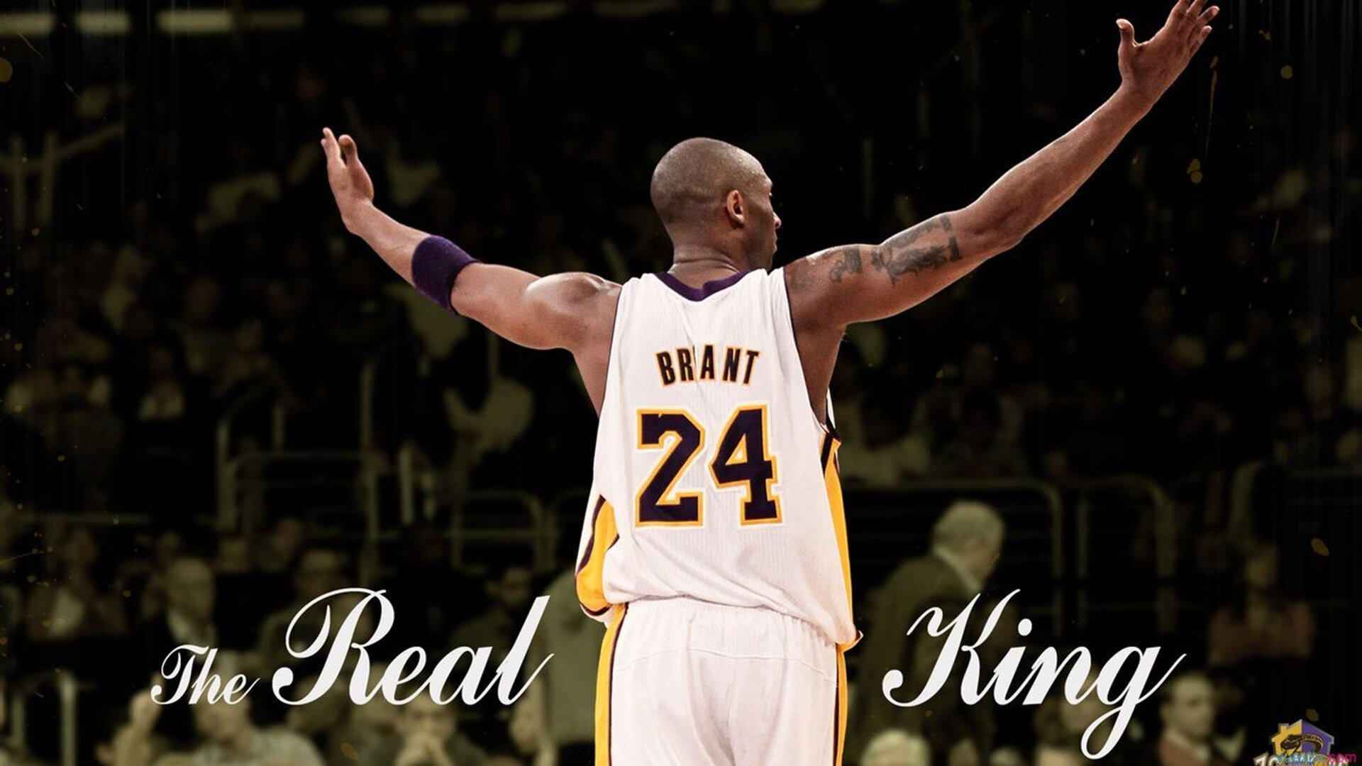 罗德里戈末节接管,厄瓜多尔如何用唯一性击碎威尔士的美加墨之梦